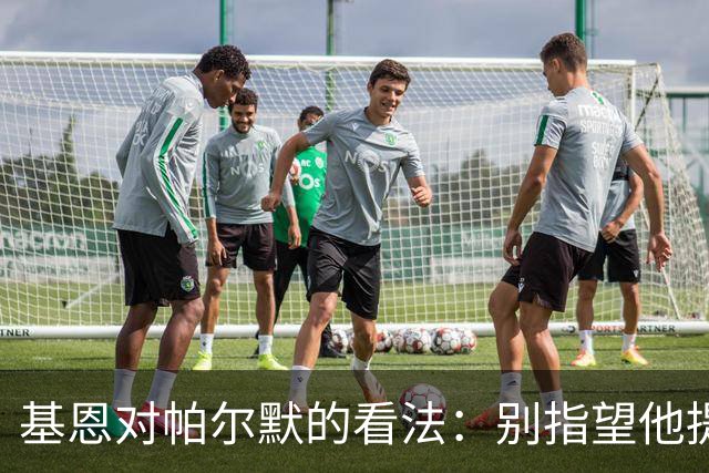 基恩对帕尔默的看法：别指望他提升英格兰水平